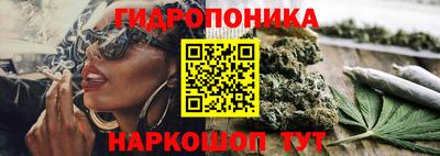 СК Бузулук
