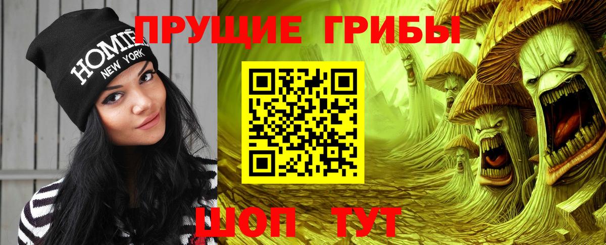 что такое наркотик  Вход с VPN  Кунгур  Галлюциногенные грибы Psilocybine cubensis 