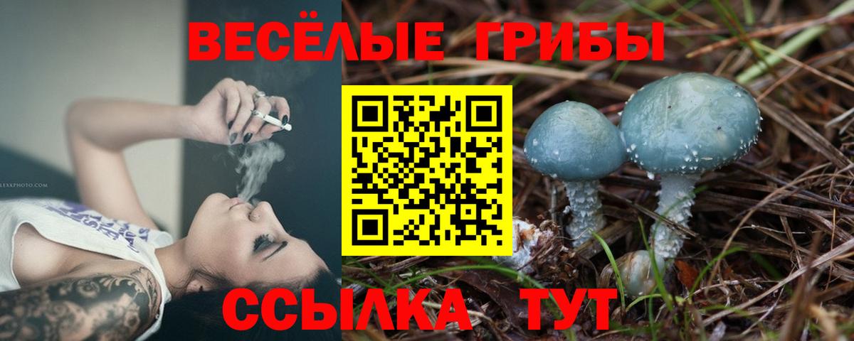 Псилоцибиновые грибы Cubensis Кунгур